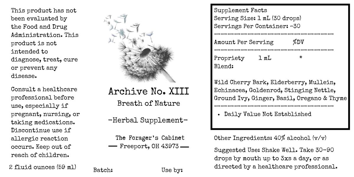 Archive No. XIII — Breath of Nature - Image 2