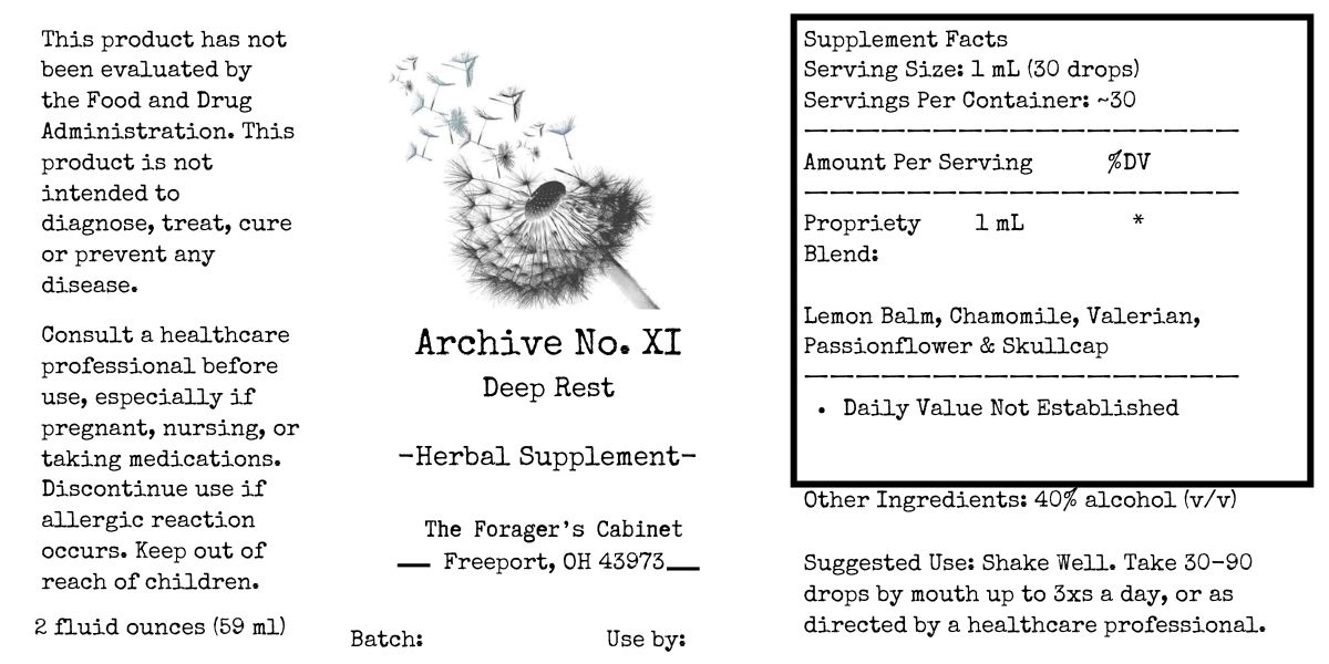 Archive No. XI — Deep Rest - Image 2