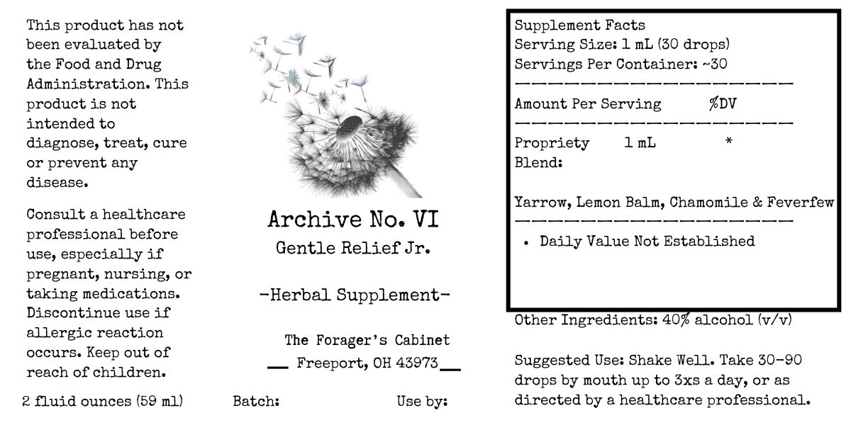 Archive No. VI — Gentle Relief Jr. - Image 2