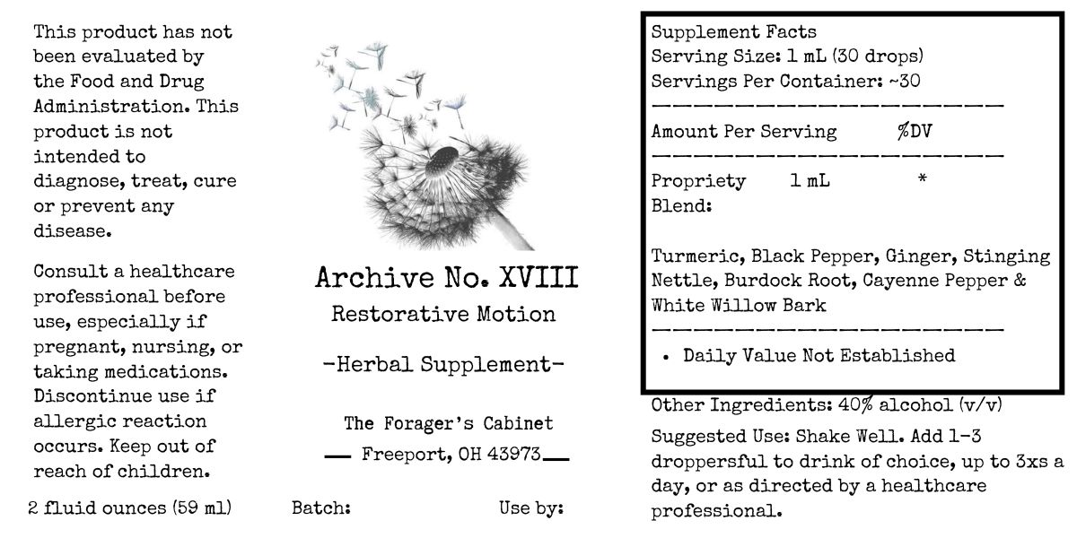 Archive No. XVIII — Restorative Motion - Image 2