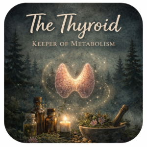 The Thyroid: Keeper of Metabolism, Master of Energy