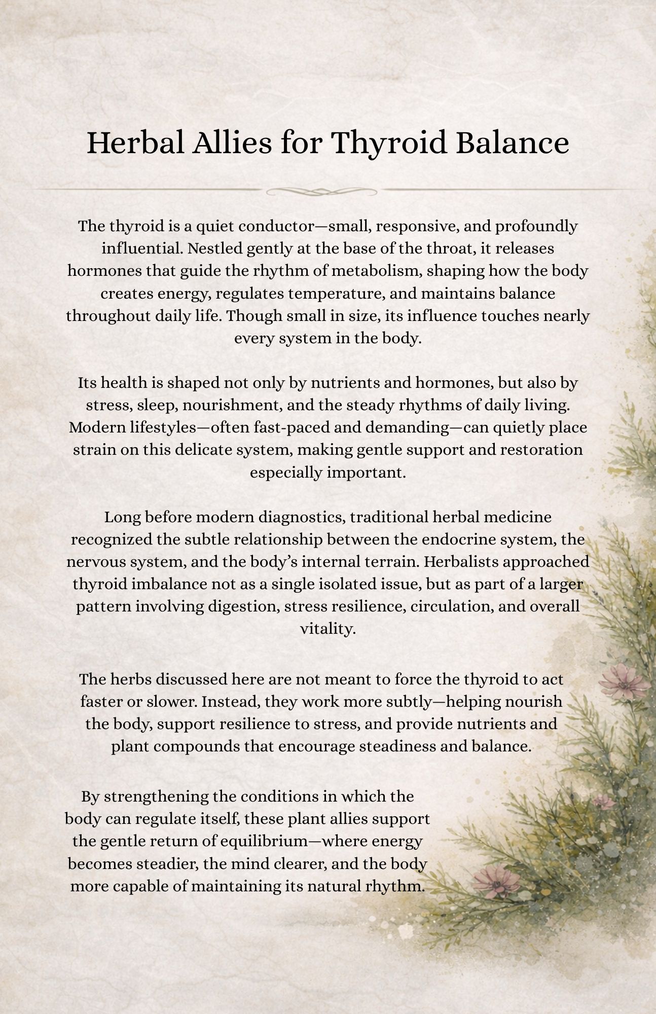 The Thyroid: Keeper of Metabolism, Master of Energy - Image 3