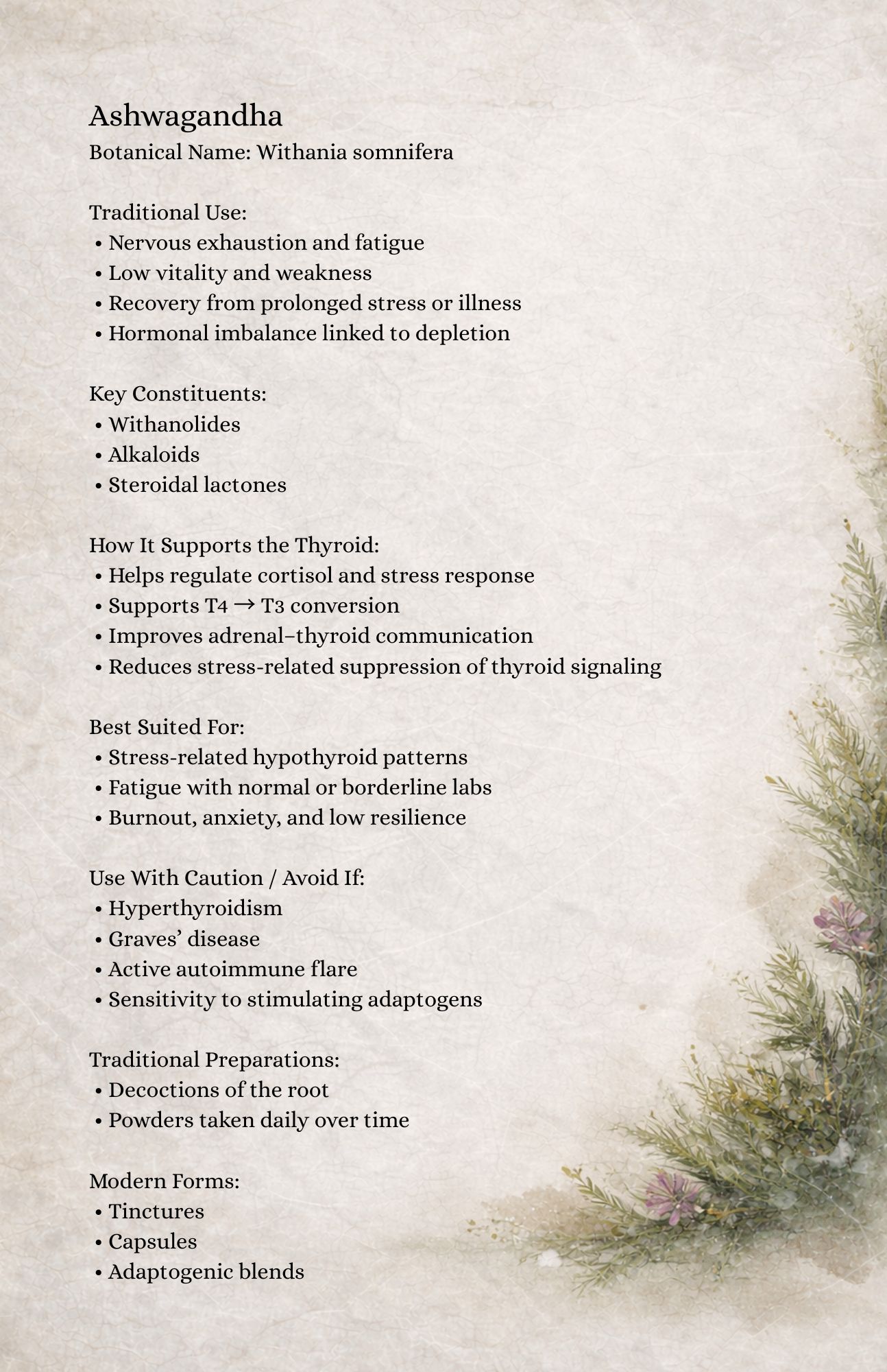 The Thyroid: Keeper of Metabolism, Master of Energy - Image 5