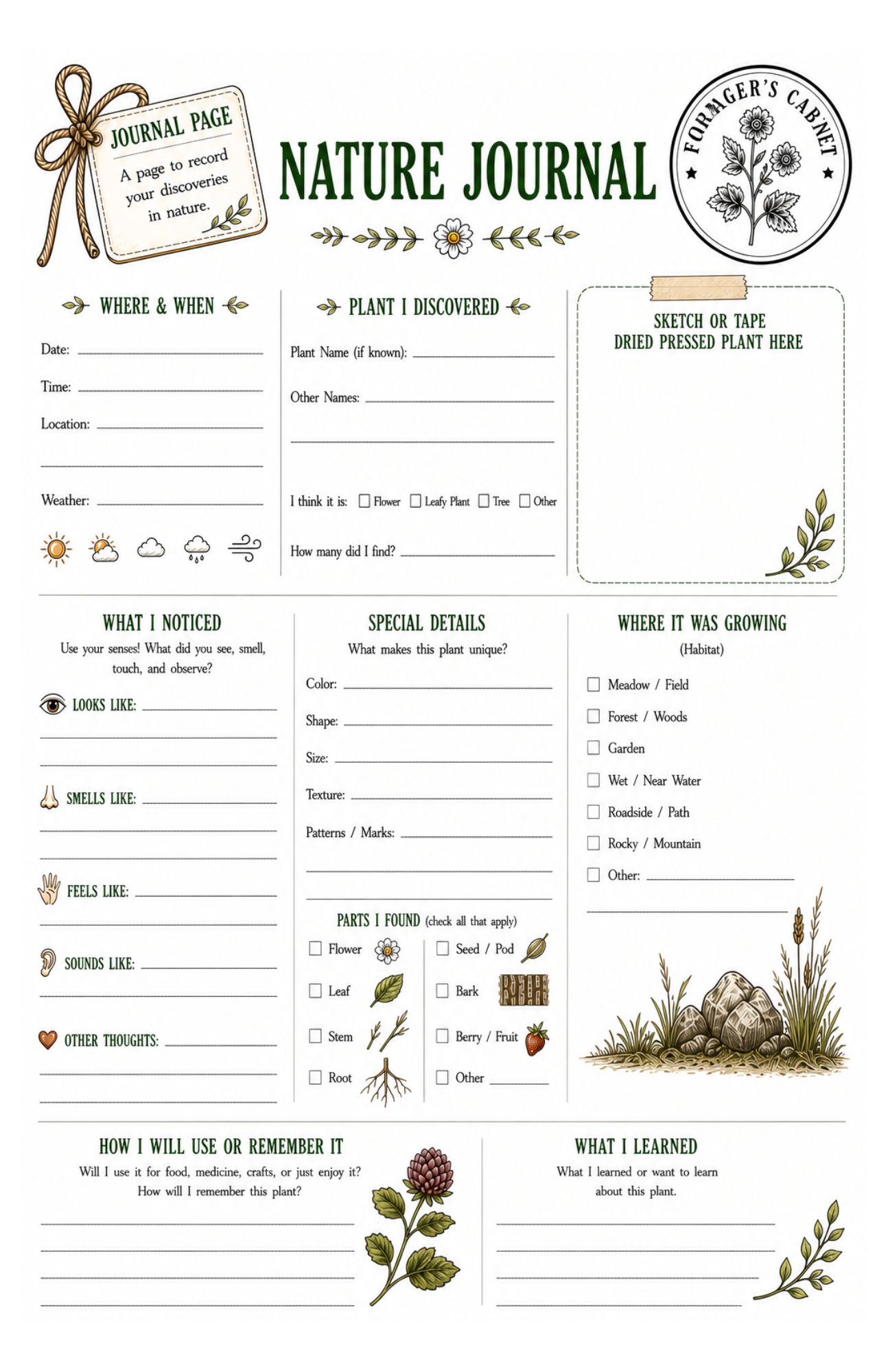 Plants to Forage Nature Study Adventure Bundle | 100+ Printable Pages - Image 7